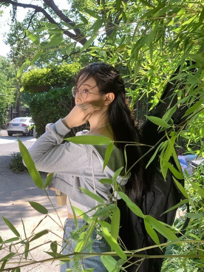 约定的梦幻岛 封面